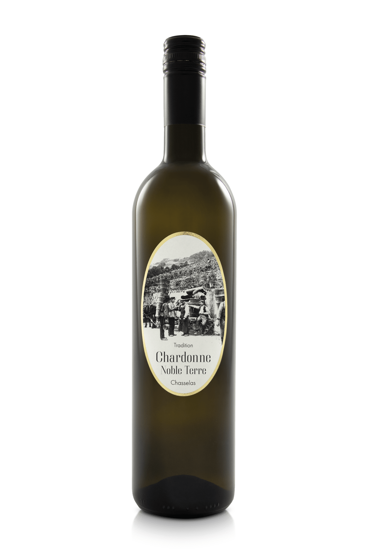 Chardonne Noble Terre <span style="color:#c19328;font-style:italic;font-size:65%;"><br/>Chasselas</span>